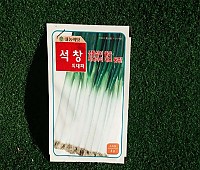 대파
