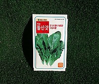 돌산갓