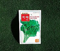 아욱