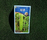 여주