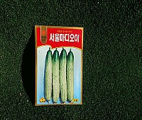 오이