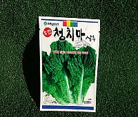 청상추