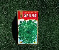 치커리